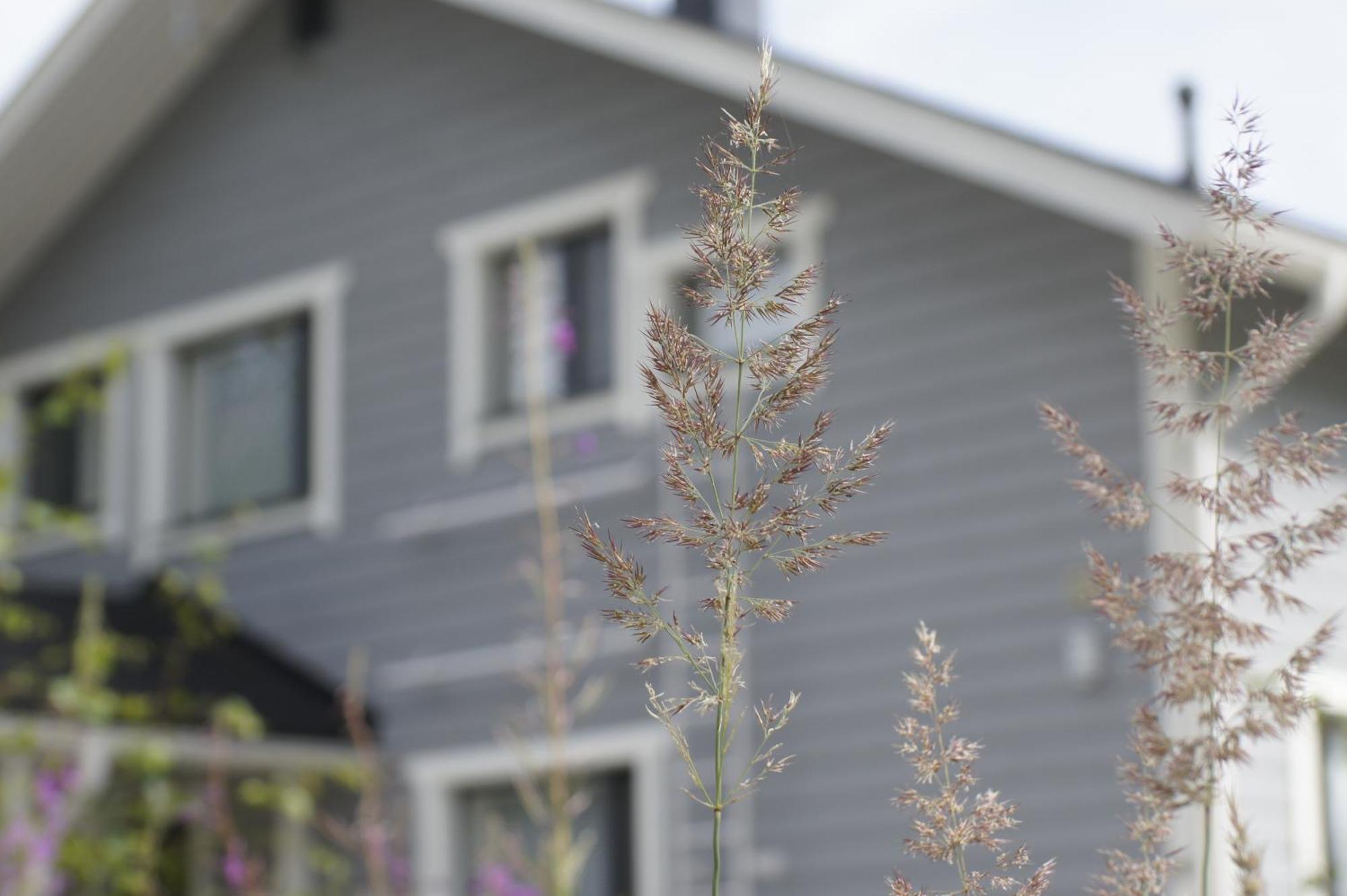 Matikkala Cottages Ruokolahti Zewnętrze zdjęcie